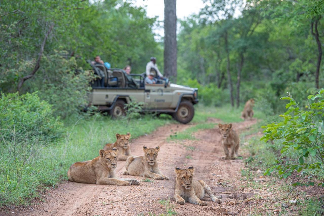 Kapama Karula Vila Kapama Game Reserve Exterior foto