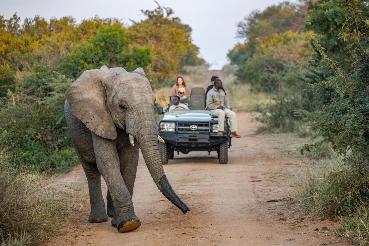 Kapama Karula Vila Kapama Game Reserve Exterior foto